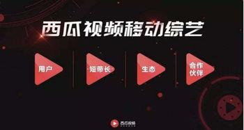 娱乐吃瓜的视频封面怎么制作的,吸睛秘籍大公开