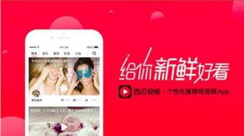 娱乐吃瓜的视频封面怎么制作的,吸睛秘籍大公开