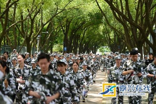 娱乐吃瓜军,吃瓜军背后的故事与真相