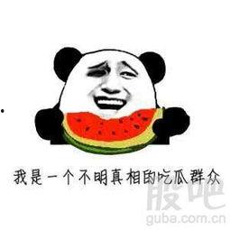 吃瓜群众视频,视频背后的热点追踪与娱乐狂欢
