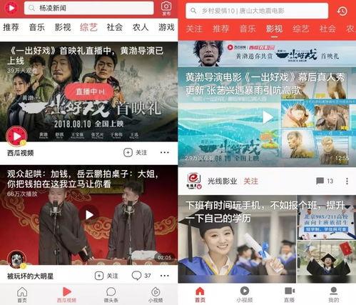 娱乐小乐吃瓜视频,揭秘娱乐圈幕后故事