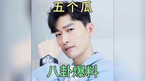 娱乐圈吃瓜趣事免费阅读